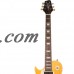 Sawtooth Heritage Series Flame Maple Top Electric Guitar with ChromaCast Gig Bag and Accessories   556350967